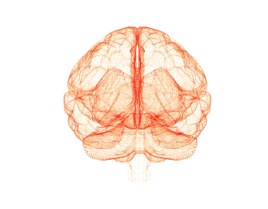 Cognitive function patient app brain illustration